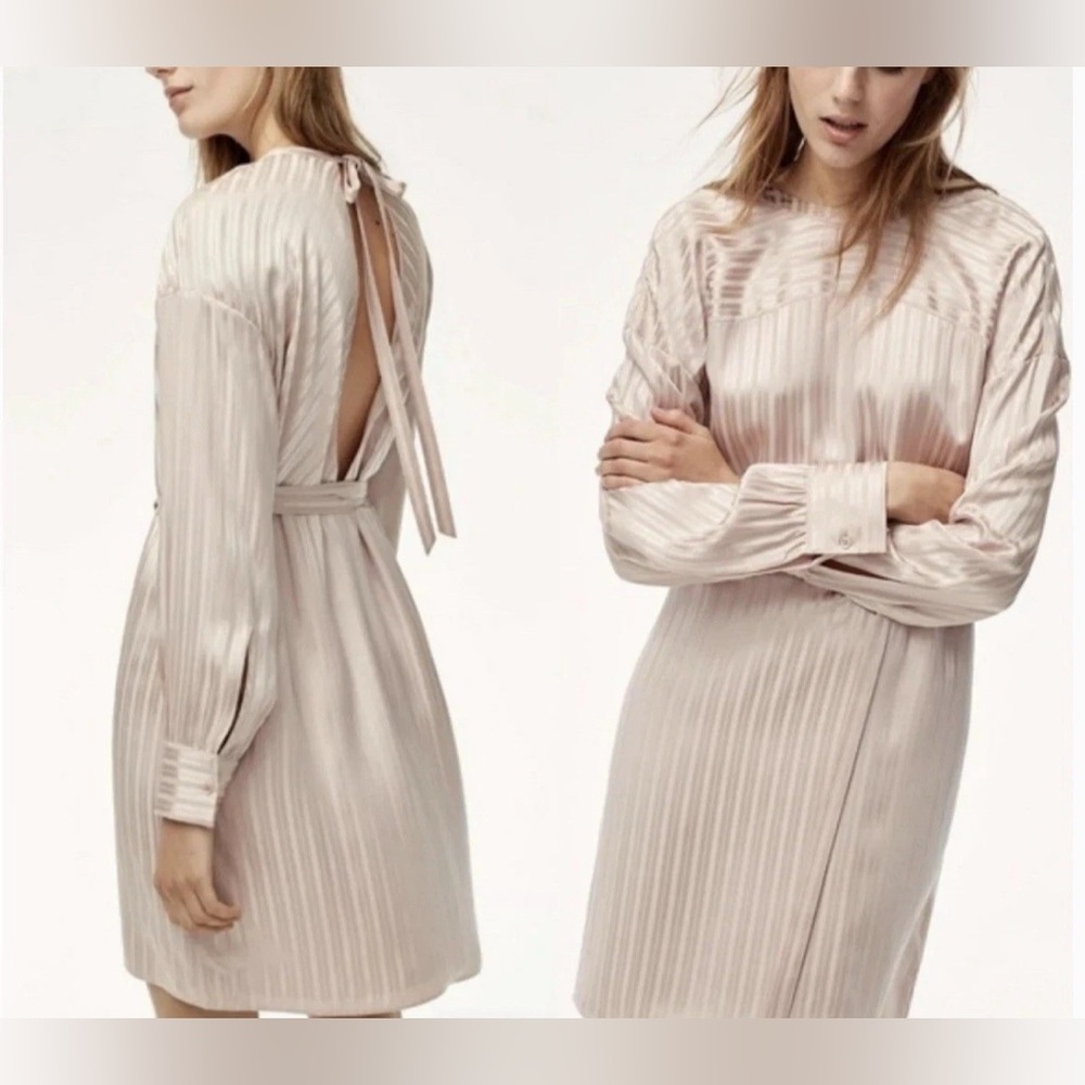 Aritzia S Wilfred Silk Pink Stripe Lined Long Sleeves Gaillard Dress Small